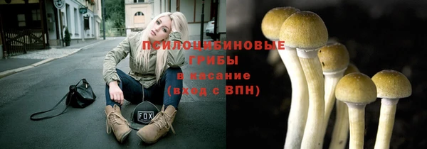 героин Алексин